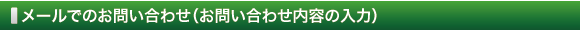 メールでのお問い合わせ（お問い合わせ内容の入力）