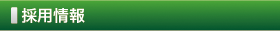 採用情報