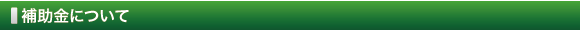 補助金について